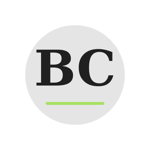 Belel Chimney Services logo